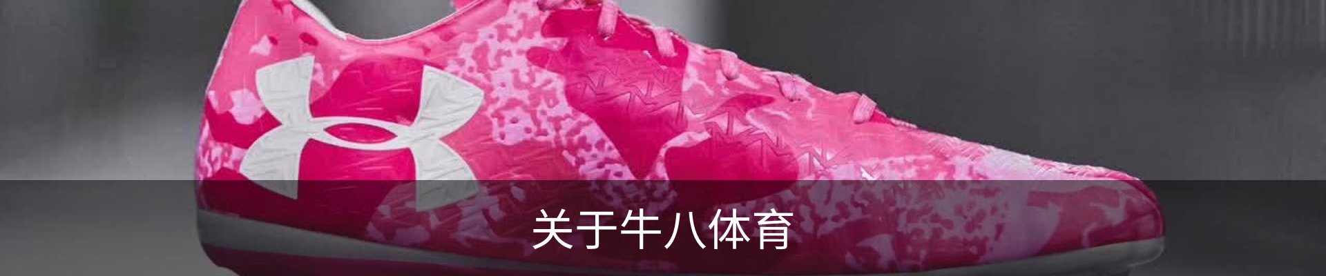 关于牛八体育